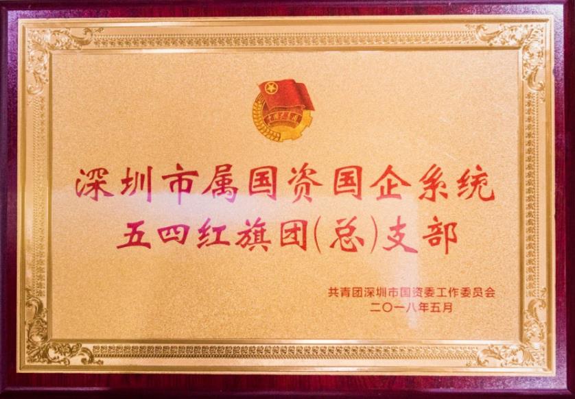 深圳市属国资国企系统五四红旗团（总）支部1.jpg